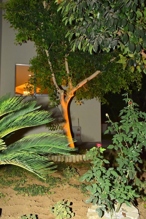 Nora Suit Hotel سيدي المظهر الخارجي الصورة
